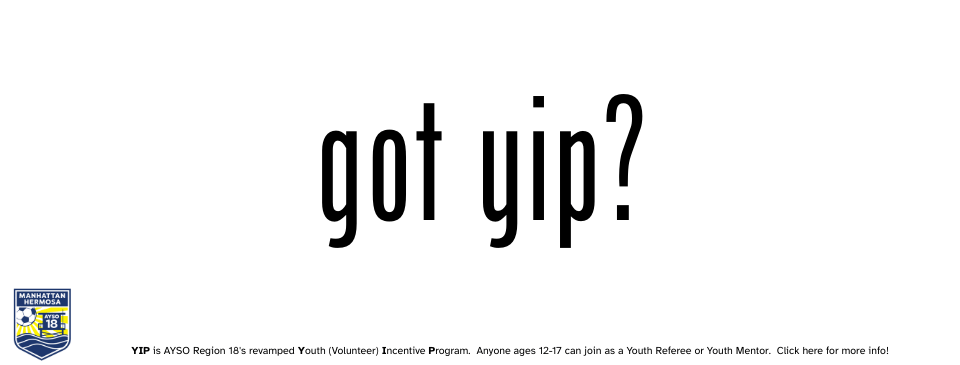 YIP - Youth (Volunteer) Incentive Program